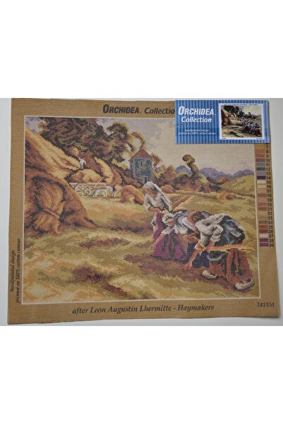 Orchidea Goblen 3415M 40x50