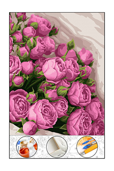 abbara Sayılarla Boyama Hobi Seti Çerçeveli Tuval Fırça Boya Dahil Kasnaklı 40x50 Cm Pembe Düşler