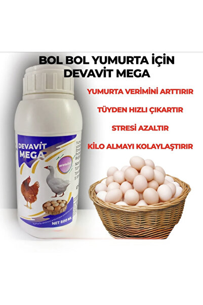 Mega Tavuk Yumurta Verimi Arttırıcı Protein 500 Ml