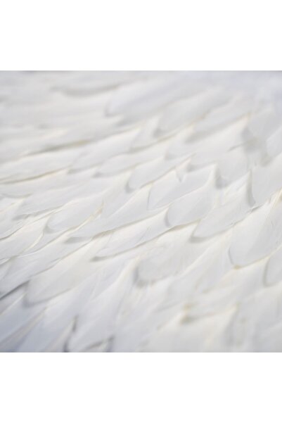 Crioflowers Aripi Inger 300cm