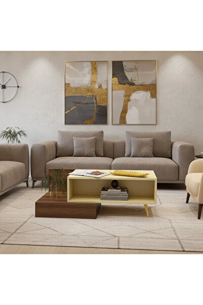 Stylish Home Modern brown and beige coffee table - CT55