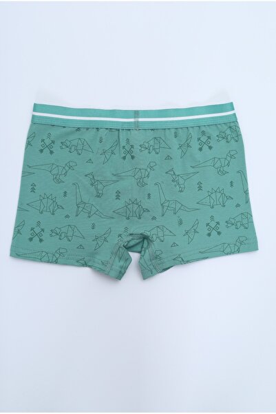 Toontoy Boy's Multi-Patterned 4-Pack Boxer