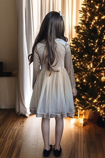 QUB CLUB New Season New Year Christmas Birthday Party Buckle Velvet Dress