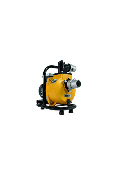 MEXXSUN DC Yüzey Pompa 1.5Hp 1100W (SFP20-17-1100W/96V)