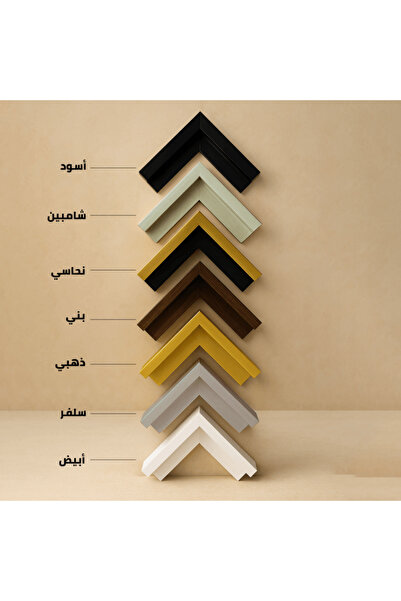 designadv Abstract design canvas paintings