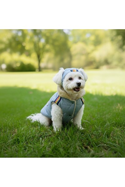 Lokums Köpek Yelek ve Şapka Takımı – Kışlık Sıcak Tutan Peluşlu Şık Köpek Kıy...