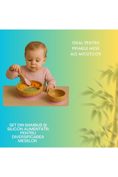 OEM Baby diversification set, bamboo bowl and plate with suction cup base