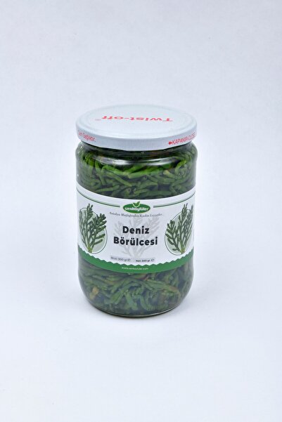 Şenköylüler Deniz Börülcesi