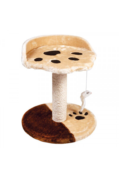 Record Cat play set - Zampa