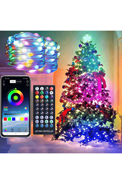 WHIMSY Holiday light garland (100 LEDs, 10 m, app-controlled)