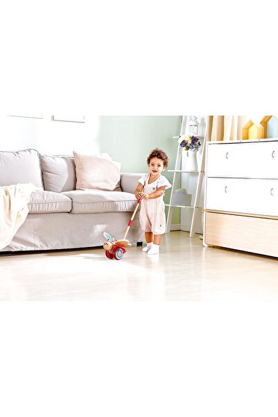 Hape Wooden Push & Pull Butterfly Toy (Rainbow)