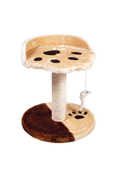 Record Cat play set - Zampa
