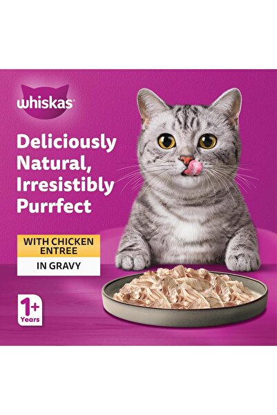 Whiskas Purfectly Chicken Entrée in Gravy, 24 x 85g Wet Cat Food (Adult 1+)