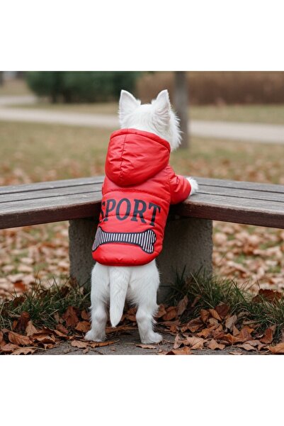 OEM Geacă flaușată de iarnă cu glugă, pentru animale de companie mici și mijl...