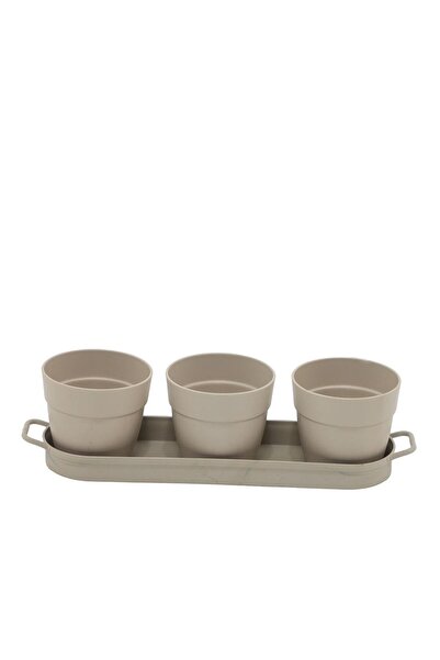 bahçe market Poliwork 3'lü Set Kaktüs Saksı Mix 0.11 Lt - Mini Boy Sukulent S...