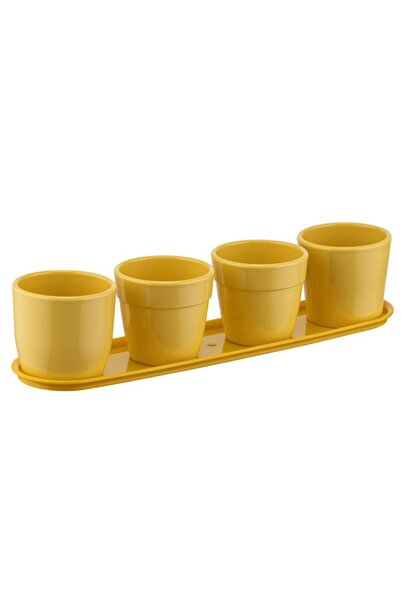 bahçe market Kaktüs Saksı 4'lü Set Mint 0,12*4 Lt – 4'lü Set Mint Yeşili Mini...