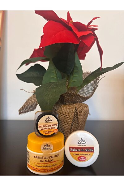 Apidava Cosmetic Line Apidava Natural Care Set with Honey & Propolis - Hands, Lips, Heels