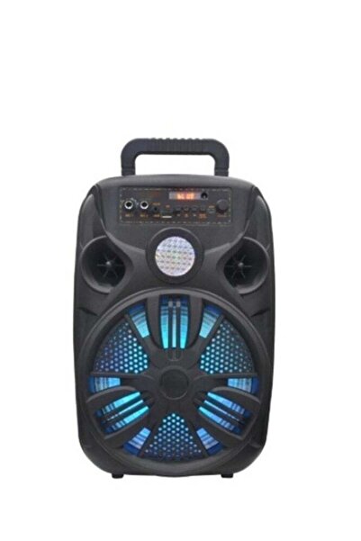 Generalwater 8-inch Portable Wireless Speaker with Microphone and Karaoke Function