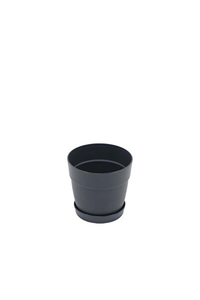 bahçe market Poliwork Tabaklı Sukulent Saksısı Mix 0.11 Lt - Küçük Boy Çiçek ...