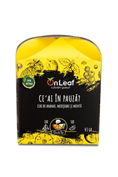 On Leaf Pineapple, Cranberry and Mint Tea, On Leaf, 10 Tea Bags and 10 Pieces of Dried Fruit, 43 g