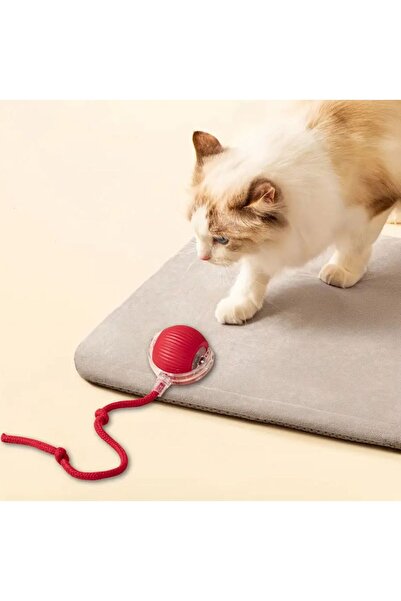 OEM Smart interactive toy for cats and dogs 1+1 FREE!