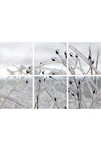 Sasb لوحة فنية جدارية بدون إطار، 6 قطع - متعددة الألوان، 40×40 سم