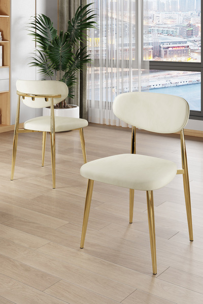 Canisa Laos Serisi 4 Adet Krem Mutfak Sandalyesi Gold Kaplama Metal Ayak 1.Sı...