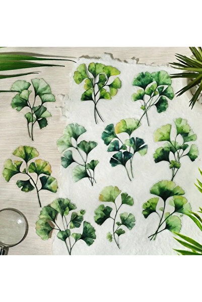 Kolbi Craft مجموعة ملصقات شفافة على شكل أوراق الجنكة مكونة من 20 قطعة، ملصقات...