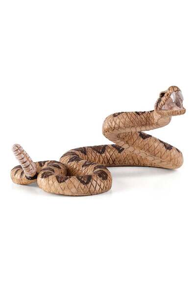Generic Rattlesnake Medium