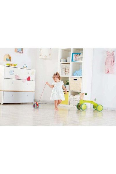 Generic Hape Baby Bird Pull-Along Toy