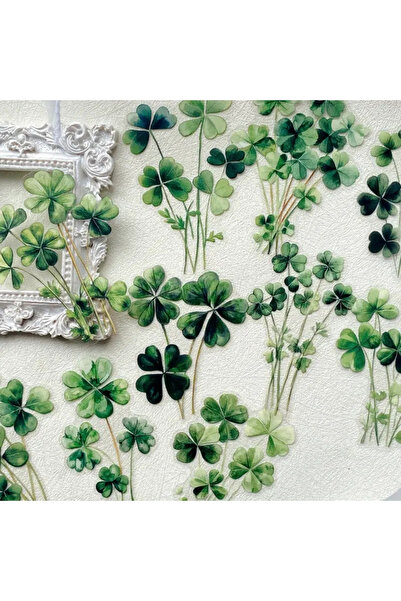 Kolbi Craft مجموعة ملصقات أوراق البرسيم الشفافة مكونة من 20 قطعة، ملصقات شفاف...