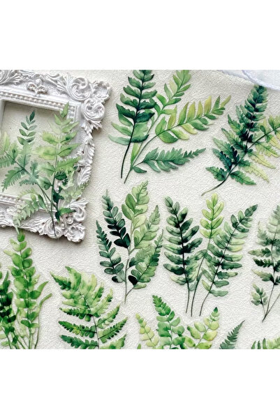 Kolbi Craft مجموعة ملصقات أوراق النعناع الشفافة مكونة من 20 قطعة، مجموعة ملصق...