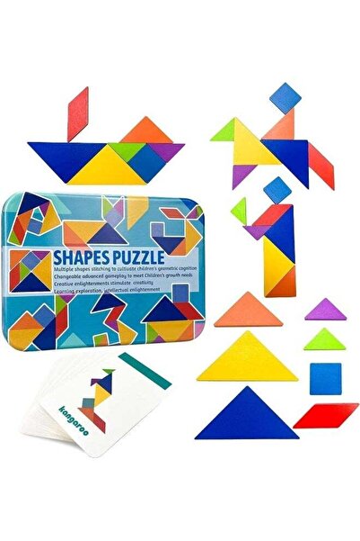 Generic SKY-TOUCH Early Development Tangram Pattern Puzzles Setï¼ŒWooden Puzzle Blocks Colorful Tangram Sor