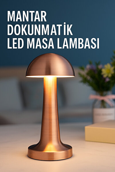 PooleMark Mantar Masa Lambası Kablosuz Ledli 3 Mod Işık Seviyeli Dokunmatik Ş...