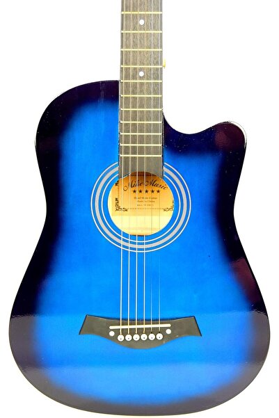 Generic 38-Inch Blue Guitar with bag Starter Fretboard Stickers, Tuner, Bag, Picks, Capo, Strings