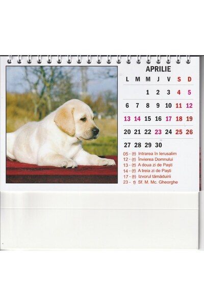 Global Desk calendar with dogs, 12 sheets,