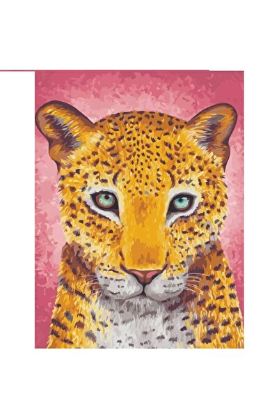 Craft Buddy Set pictura pe numere, Rise - Rachel Froud, 30x40cm,