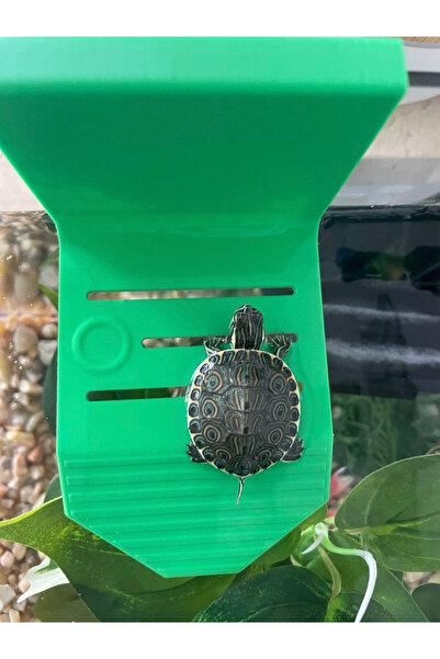 barsdepo Kaplumbağa Rampası One Size