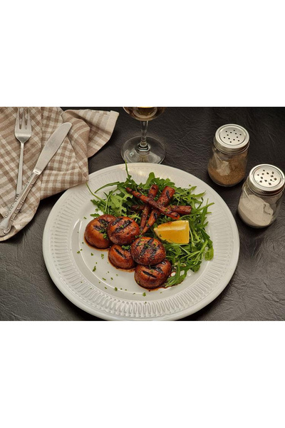 FRAM ELECTRIC GRILL FEG-2100SSBK