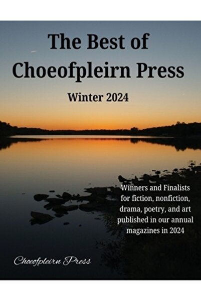 Ingspark Cele mai bune edituri Choeofpleirn: iarna anului 2024