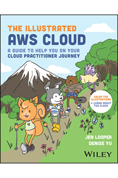 Wiley AWS Cloud ilustrat: Un ghid care să vă ajute în călătoria dvs. de pract...