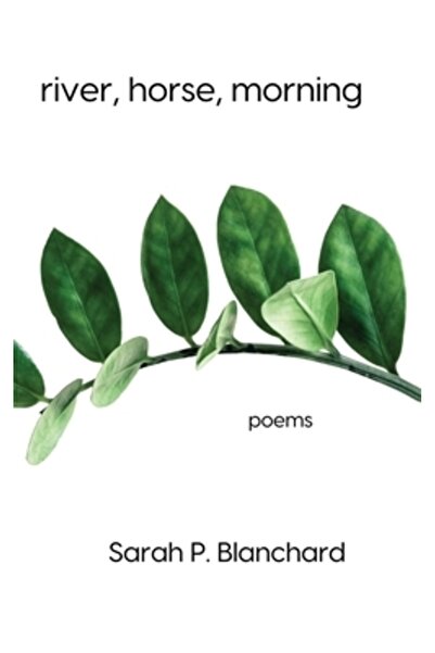 INDEPENDENT CAT dimineața calului de râu