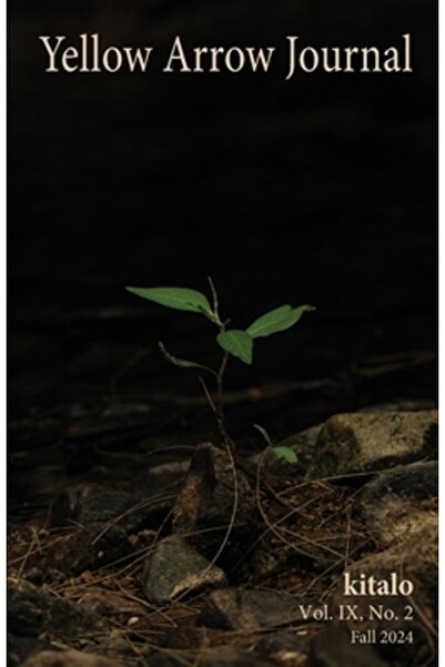 Product Concept Inc Jurnalul Yellow Arrow: Vol. IX Nr. 2 Toamna 2024