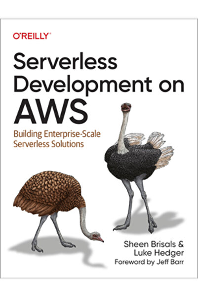 OReilly Media Dezvoltare serverless pe Aws: Construirea de soluții serverless...