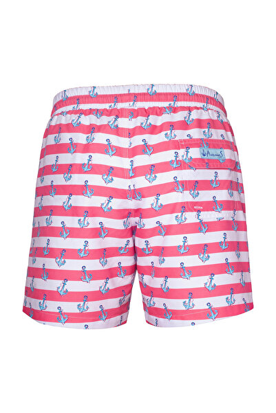 ANEMOSS ANE8681126437455