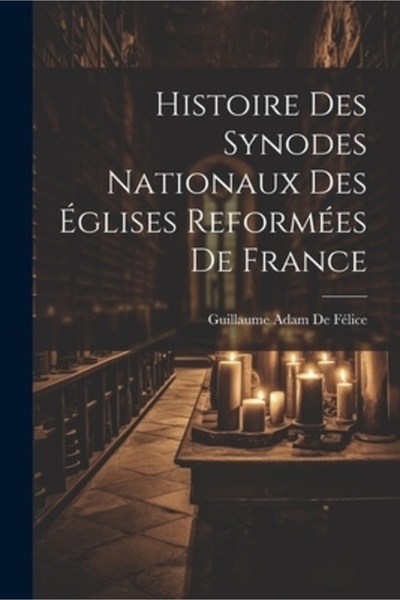 Legare Street Pr Histoire Des Synodes Nationaux Des