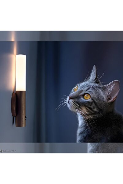 SELERIS Smart Lamp, Sensor, ®, Portable, Magnet, 500mAh, Warm 2700k-3000k, USB-C, Walnut Wood