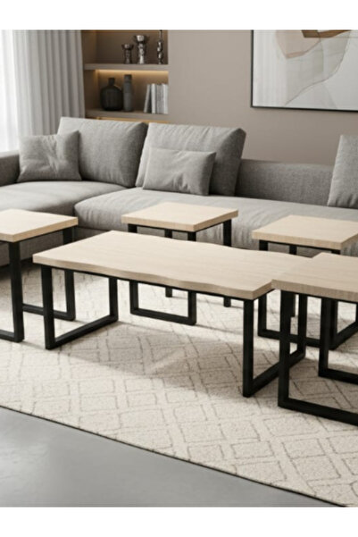 BEC59 Wooden coffee table set (5 pieces) - Modern square design and metal frame