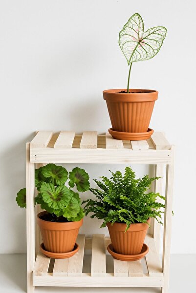 Doğa Design Çok Amaçlı Ahşap Yan Sehpa