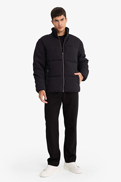 DeFacto Regular Fit Mock Neck Lined Zippered Pocket Winter Coat F0418Ax25Wn